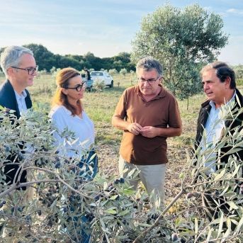 fotonoticia_20251004141553_1920