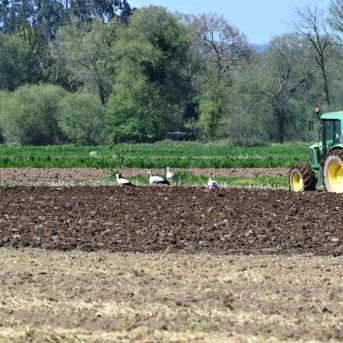 fotonoticia_20251031135343_1920