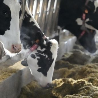 fotonoticia_20251005070450_1920