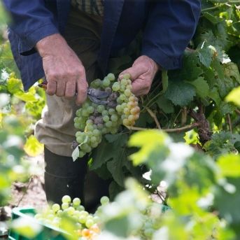 fotonoticia_20251031173509_1920