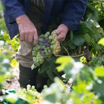 fotonoticia_20251031180407_1920