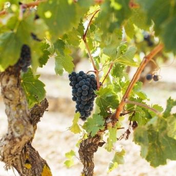 fotonoticia_20251101110954_1920 fotonoticia_20251101110954_1920