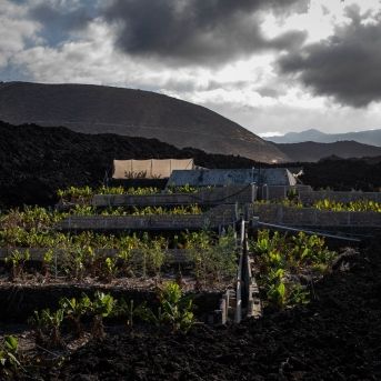 fotonoticia_20251101110352_1920 fotonoticia_20251101110352_1920