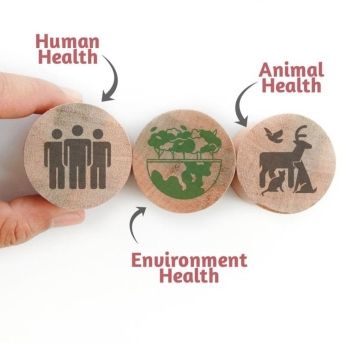 fotonoticia_20251103100450_1920