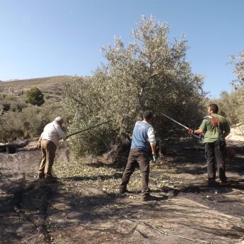 fotonoticia_20251006144033_1920 fotonoticia_20251006144033_1920