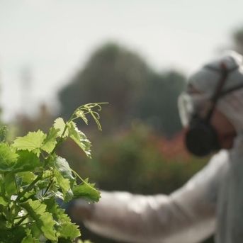 fotonoticia_20251006162708_1920 fotonoticia_20251006162708_1920