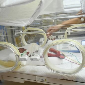 fotonoticia_20251006171700_1920 fotonoticia_20251006171700_1920