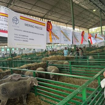 fotonoticia_20251007125444_1920