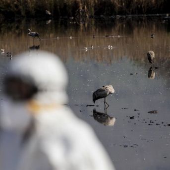 fotonoticia_20251104165635_1920