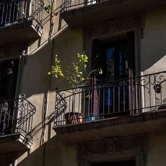 fotonoticia_20251105102832_1920