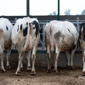 fotonoticia_20251008133051_1920