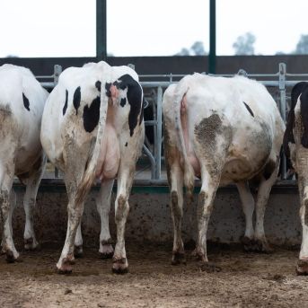 fotonoticia_20251008133054_1920 fotonoticia_20251008133054_1920