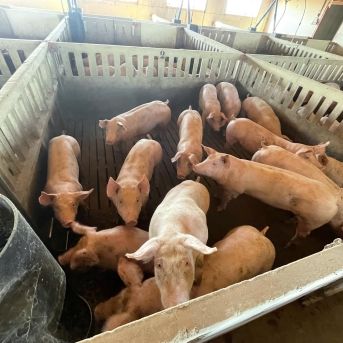 fotonoticia_20251008135214_1920