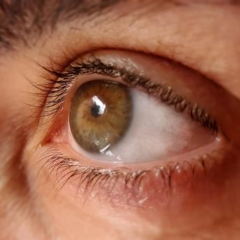 fotonoticia_20251008170453_1920