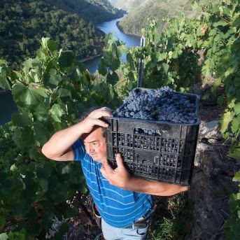 fotonoticia_20251105185134_1920