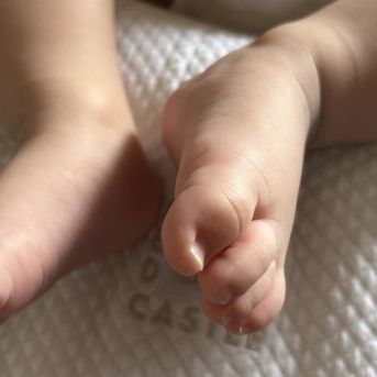 fotonoticia_20251008174842_1920 fotonoticia_20251008174842_1920