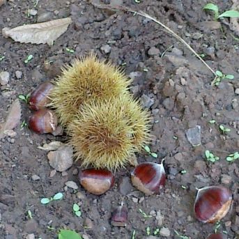 fotonoticia_20251009124551_1920