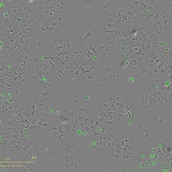 fotonoticia_20251009133905_1920