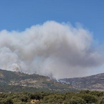 fotonoticia_20251009134440_1920 fotonoticia_20251009134440_1920