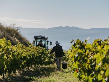 fotonoticia_20251009134735_1920