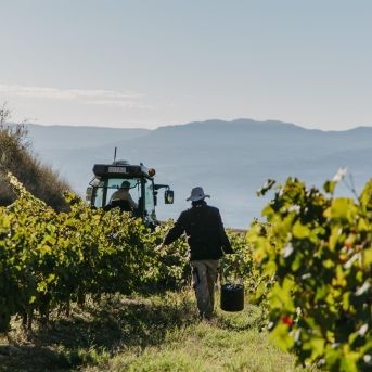 fotonoticia_20251009134735_1920