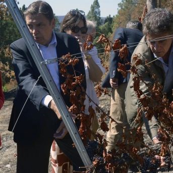 fotonoticia_20251106192242_1920