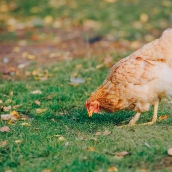 fotonoticia_20251107101906_1920