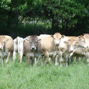 fotonoticia_20251010104323_1920 fotonoticia_20251010104323_1920