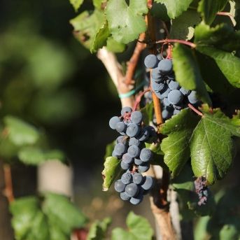 fotonoticia_20251010112532_1920