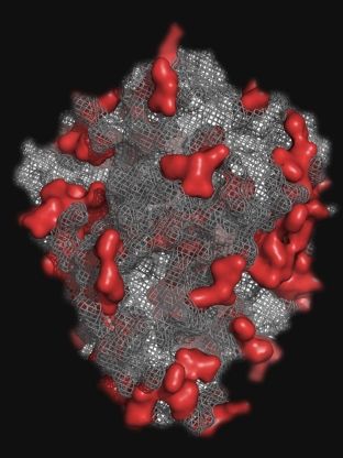 fotonoticia_20251010130202_1920