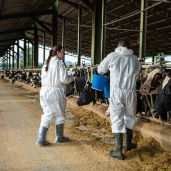 fotonoticia_20251010180959_1920 fotonoticia_20251010180959_1920