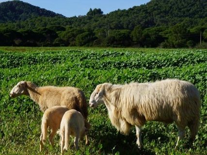 fotonoticia_20251011105551_1920