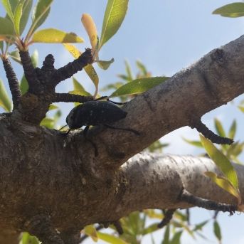 fotonoticia_20251011105857_1920