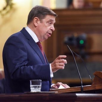 fotonoticia_20251108134659_1920