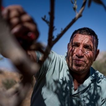 fotonoticia_20251108151722_1920 fotonoticia_20251108151722_1920