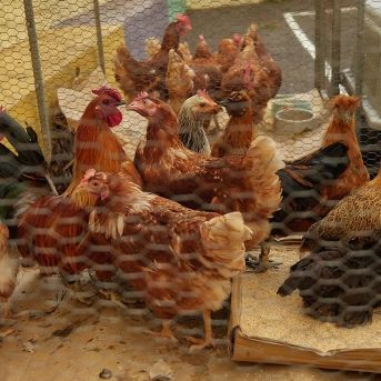 fotonoticia_20251110124019_1920