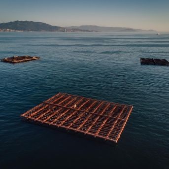 fotonoticia_20251111100912_1920-2 fotonoticia_20251111100912_1920-2