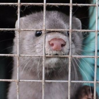 fotonoticia_20251111104757_1920