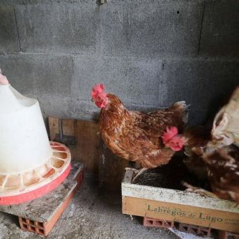 fotonoticia_20251111104411_1920