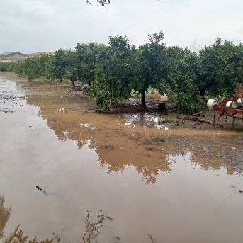 fotonoticia_20251013142219_1920