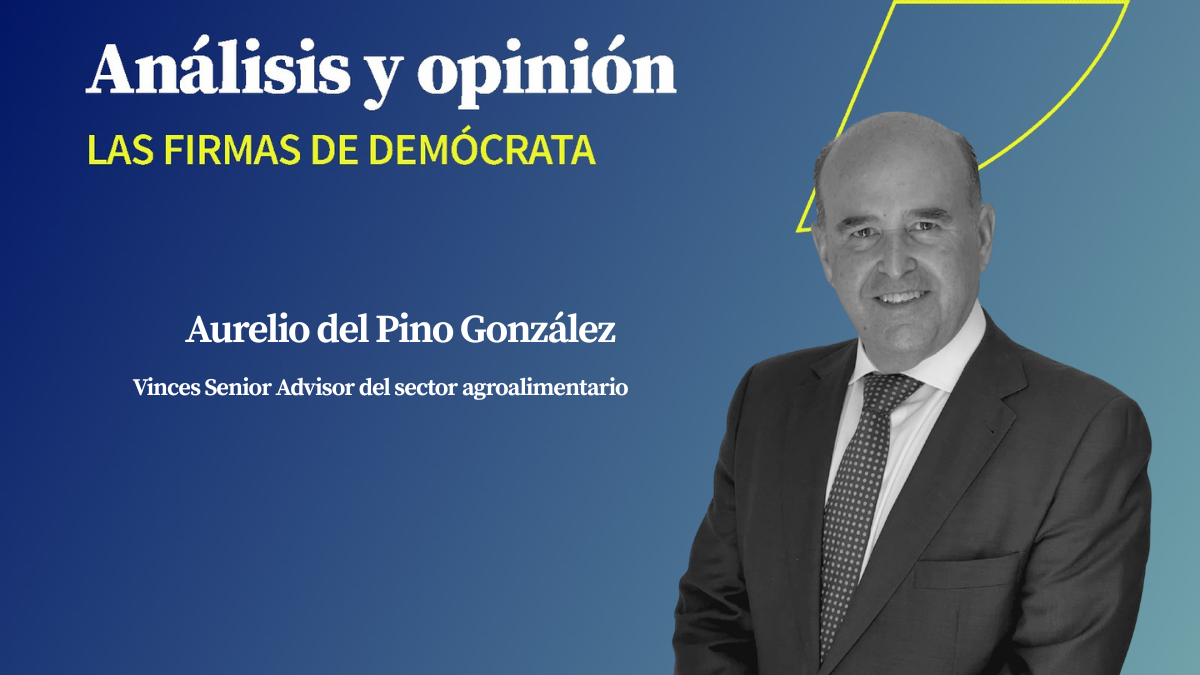 ILUSTRACIONES (1200 x 675 px) (4)