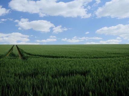 fotonoticia_20251111105932_1920