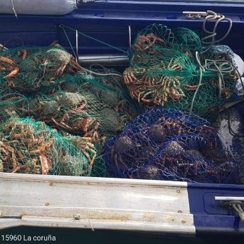 fotonoticia_20251111120741_1920 fotonoticia_20251111120741_1920