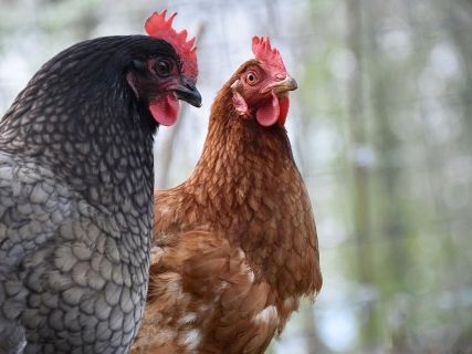 fotonoticia_20251111132728_1920