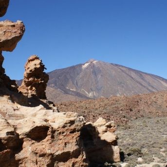 fotonoticia_20251111135229_1920 fotonoticia_20251111135229_1920