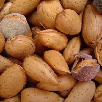 fotonoticia_20251111144338_1920