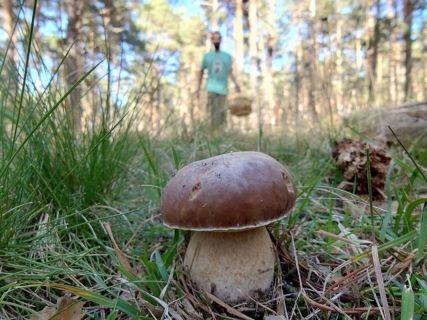 fotonoticia_20251014111540_1920