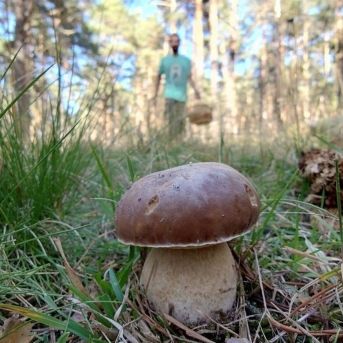 fotonoticia_20251014111540_1920