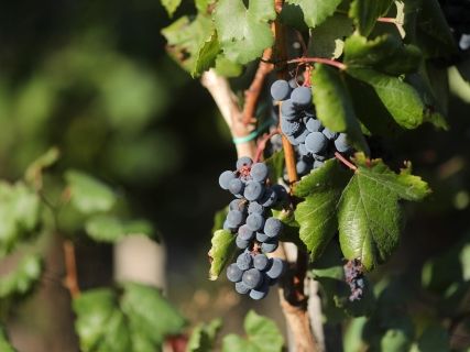 fotonoticia_20251014132644_1920