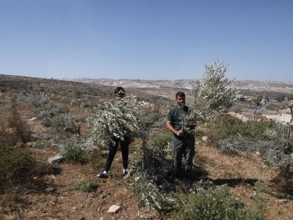 fotonoticia_20251111235058_1920